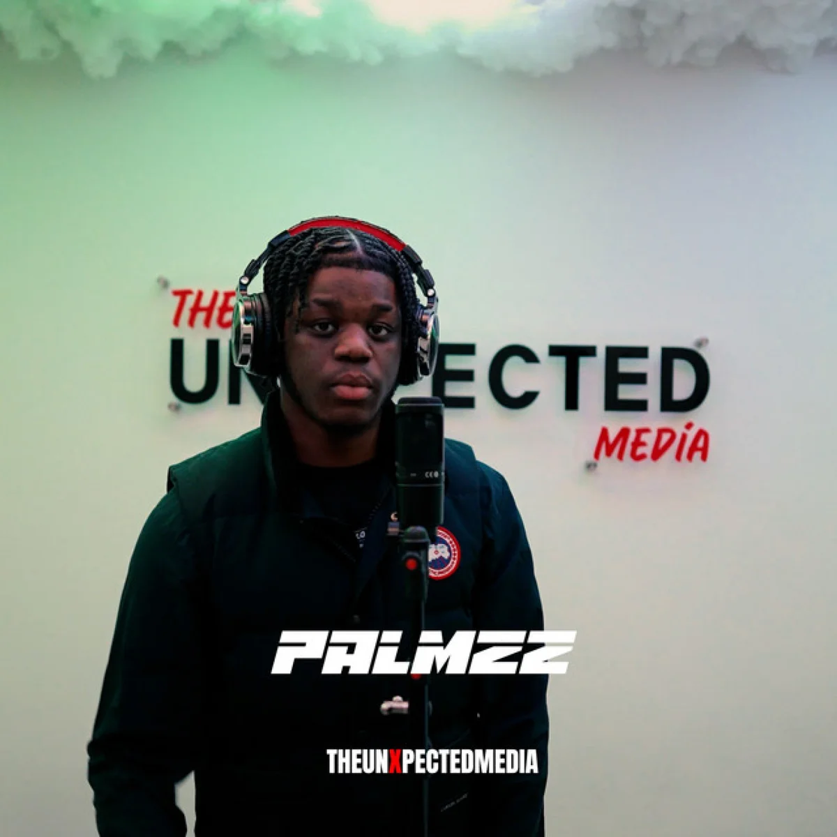 Palmzz - Buggin